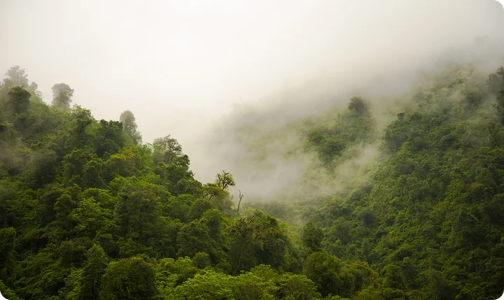 Inventário de Carbono