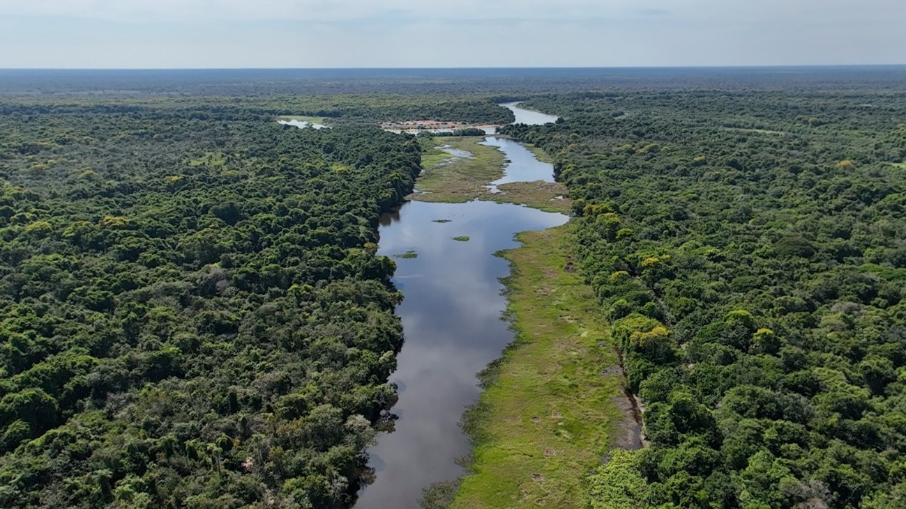 Projeto de Conservação e Remoção de Carbono da Fazenda Paraíso