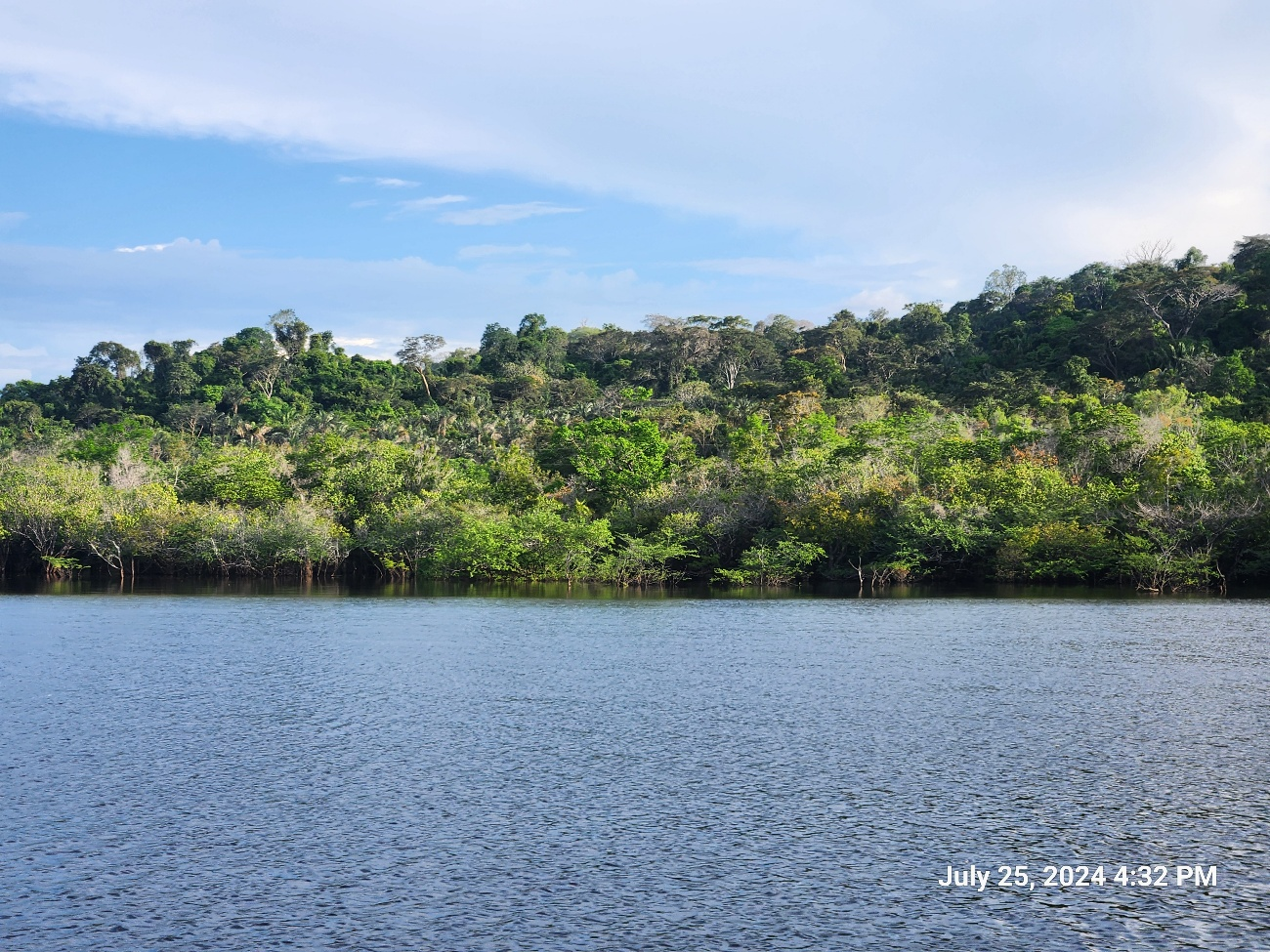 Projeto Amazonia Eco Timber Forest Conservation ARR